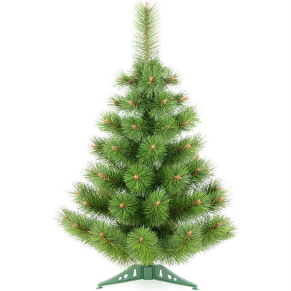 CHOINKA ŻYŁKA KLARA NIEROZCZEPIONA 70CM