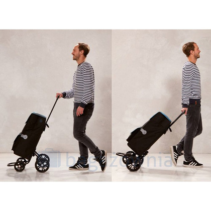 Wózek na zakupy ANDERSEN Quattro Senta 185-028-22 Szary