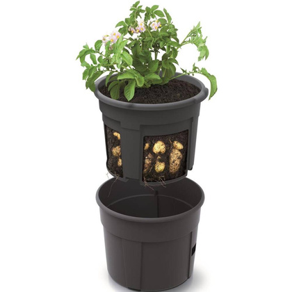 DONICZKA DO SADZENIA ZIEMNIAKÓW ŚR 39,2CM