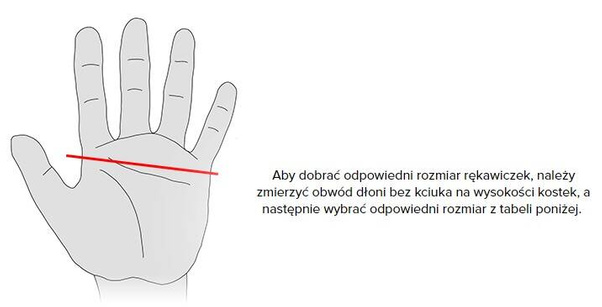 Rękawiczki damskie skórzane PUCCINI D1001(7) S 1 Czarne