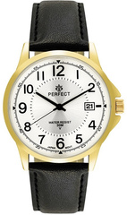 Zegarek Męski PERFECT C710T-09