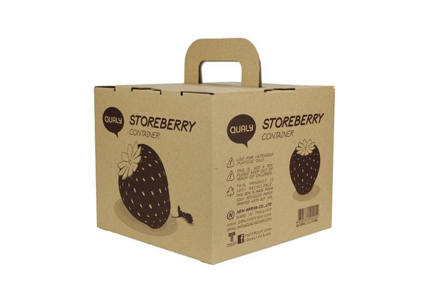 Pojemnik do przechowywania Storeberry czerwony 10243-RD