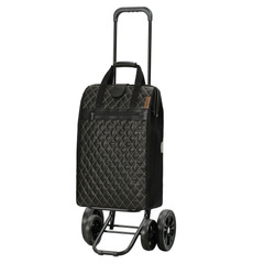 Wózek na zakupy ANDERSEN Quattro Inra