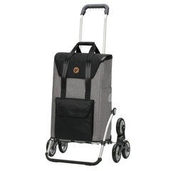 Wózek na zakupy ANDERSEN Royal 6 Senta 169-028-22 Szary