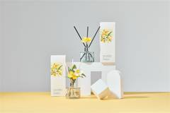 Dyfuzor zapachowy Daffodil 200ml Pearfree PDI30936