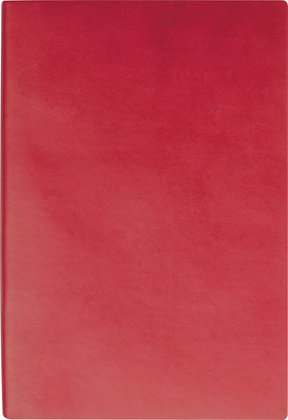 Notes A5 w linie DAYTONA BEACH