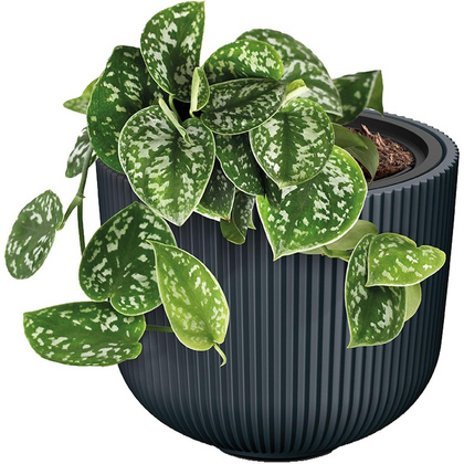 DONICZKA DO KWIATÓW MILLY ŚR 24CM MIEDZIANY