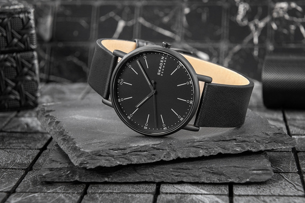 Zegarek Męski Skagen Signatur SKW6902 + BOX