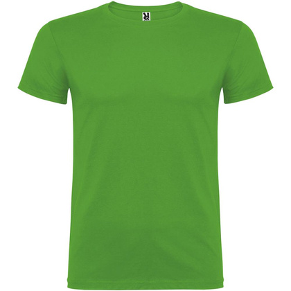 Beagle koszulka dziecięca z krótkim rękawem