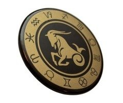 Koziorożec - znak zodiaku - magnes. Śr. 6cm; metal emaliowany - KOZ