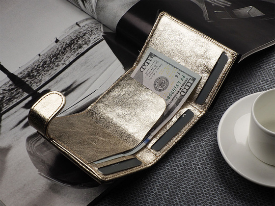 Portfel SOLO Max 1739