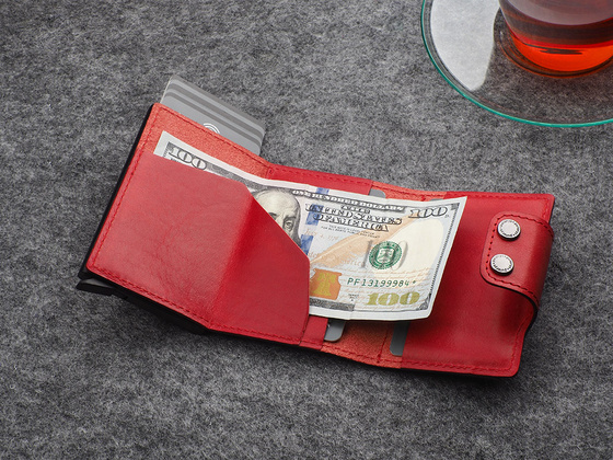 Portfel DOPPIO Max 2172