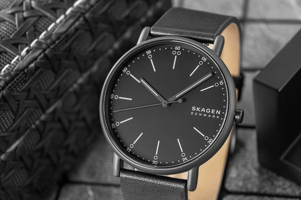 Zegarek Męski Skagen Signatur SKW6902 + BOX