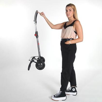 Wózek na zakupy Rolser I-Max Thermo Zen IMX352