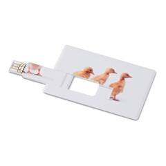 Creditcard. USB flash 16GB MO1059-06