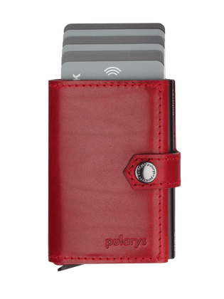 Portfel HIKER Go 2115