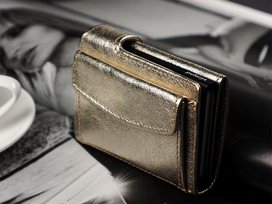 Portfel SOLO Max 1739