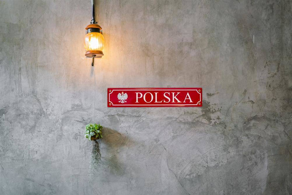 Tablica rejestracyjna Polska PL1 40x8cm metal