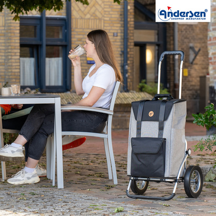 Wózek na zakupy ANDERSEN Royal 168 Senta 168-028-22 Szary