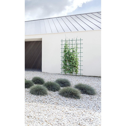 PODPORA DO ROŚLIN FLOO SUPPORTS - ZIELONY LEŚNY