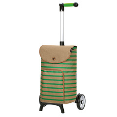 Wózek na zakupy ANDERSEN Unus Fun Eske