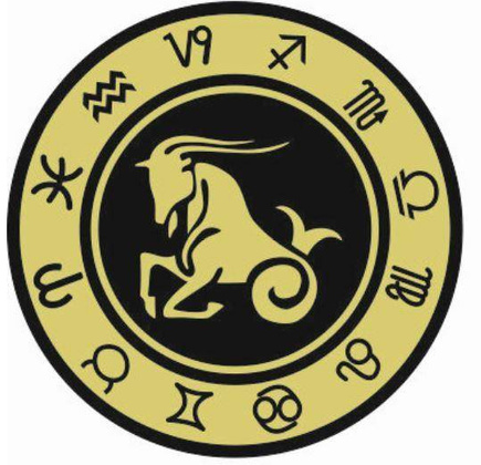 Koziorożec - znak zodiaku - magnes. Śr. 6cm; metal emaliowany - KOZ