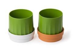 Pojemnik na chusteczki i papier Cactiss 10276-OR-GN