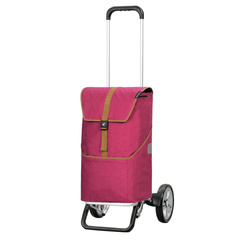 Wózek na zakupy ANDERSEN Alu Star Auke