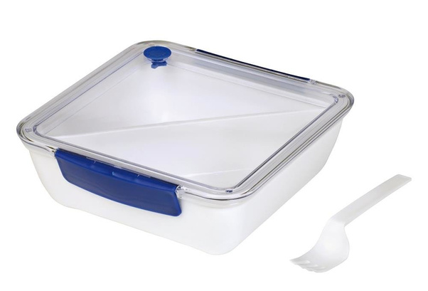 Pojemnik na lunch DELICIOUS, biały, niebieski