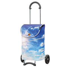 Wózek za zakupy ANDERSEN Scala MIX 112-333-A51