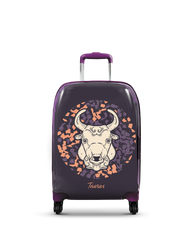 Mała kabinowa walizka Byk