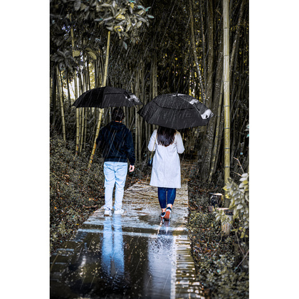 GAVIN. Parasol 27.5” z 190T pongee z automatycznym otwieraniem