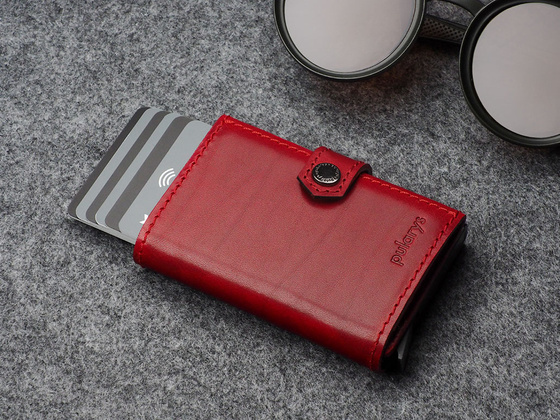 Portfel HIKER Max 2173