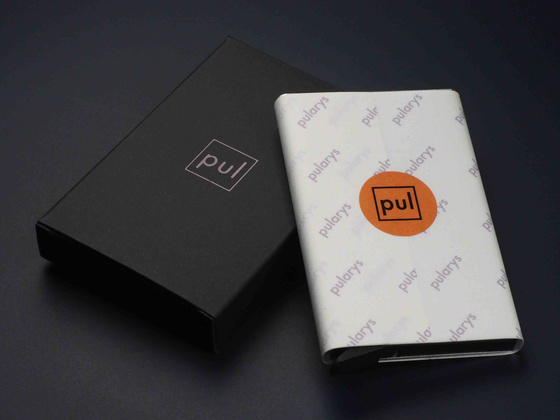 Portfel HIKER Go 2115