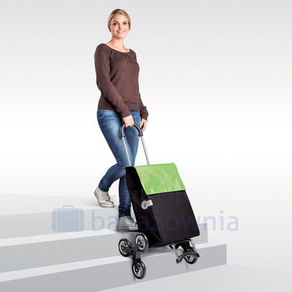 Wózek na zakupy ANDERSEN Scala 6 Hera 119-004-74 Czerwony