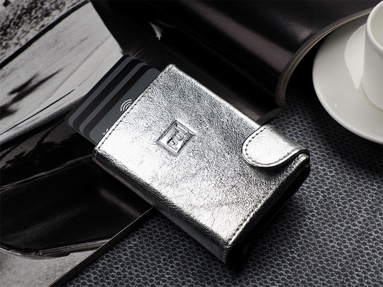 Portfel SOLO Max 1739