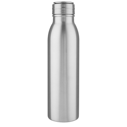 Bidon ze stali nierdzewnej Harper o pojemności 700 ml z metalową pętelką