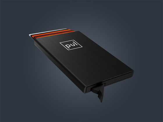 Etui na karty kredytowe RFID ZEN 1743