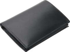 Portfel 31801301