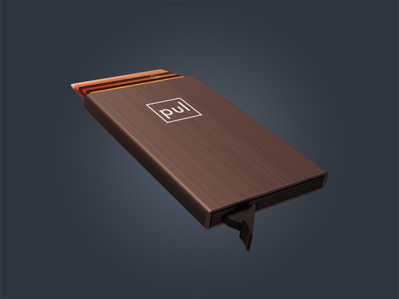 Etui na karty kredytowe RFID ZEN 1743