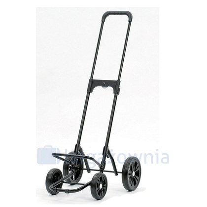 Wózek na zakupy ANDERSEN Quattro Senta 185-028-22 Szary