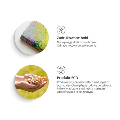 Obraz - Mapa świata: Kolorowe kontynenty