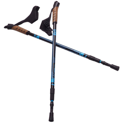 Kijki Nordic Walking Scout Bjorn niebieskie