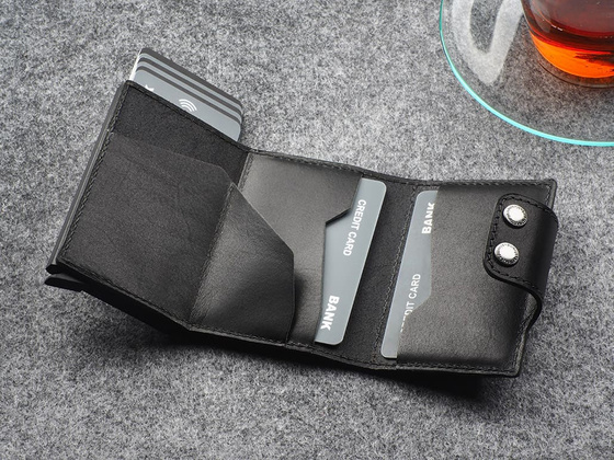 Portfel DOPPIO Max 2172