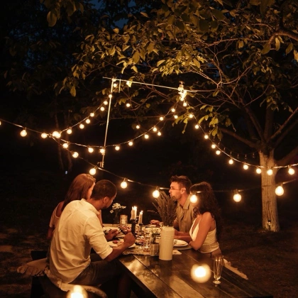 Lampki ogrodowe girlanda 20 żarówek LED zewnętrzna wewnętrzna 12,5 m