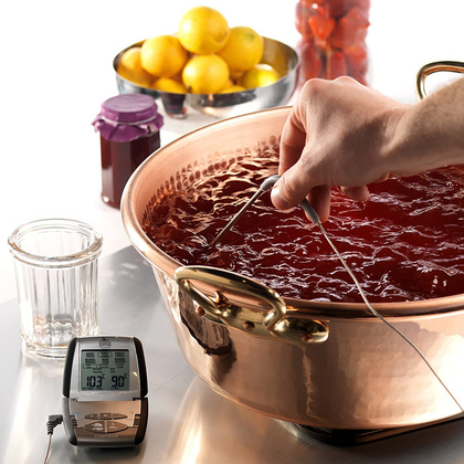 Termometr do pieczenia mięs OVEN