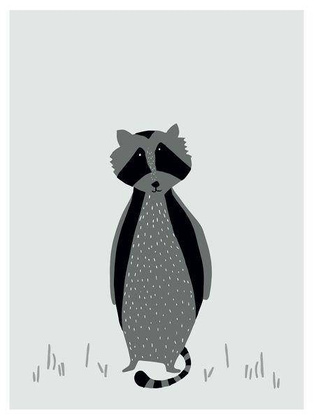 Mr.Raccoon Plakat UPOMINKARNIA