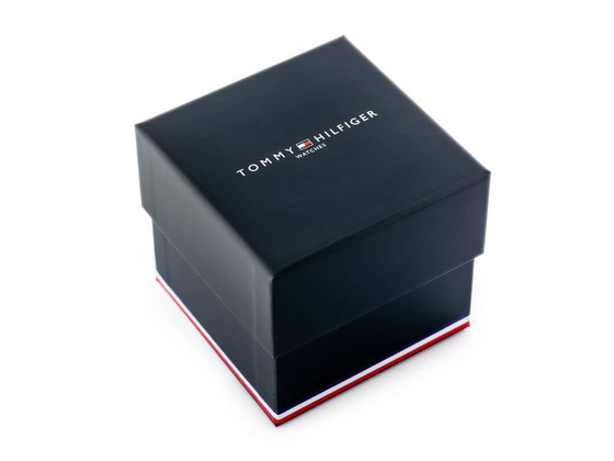 ZEGAREK MĘSKI TOMMY HILFIGER WEST (zf018a)