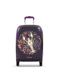 Mała kabinowa walizka Rak